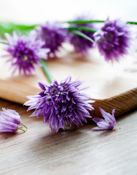 Bunch of fresh flower chives Royalty Free Stock Images