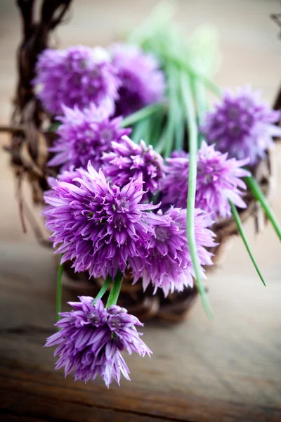 Bunch of fresh flower chives Royalty Free Stock Photos