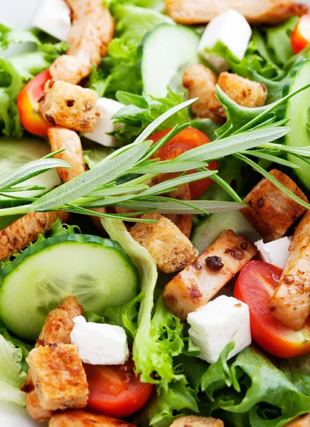 Salada de frango Imagem De Stock