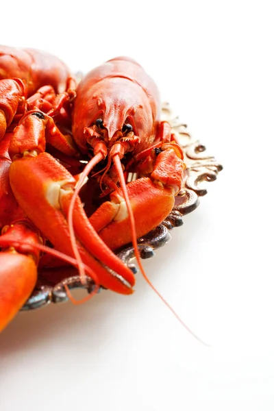 Crawfish — Stock Photo, Image