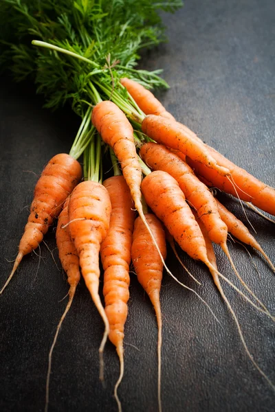 Fresh carrots — Stock Photo, Image