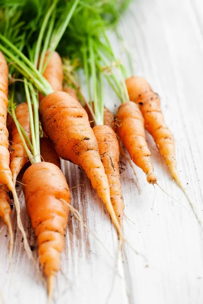 Frische Karotten — Stockfoto