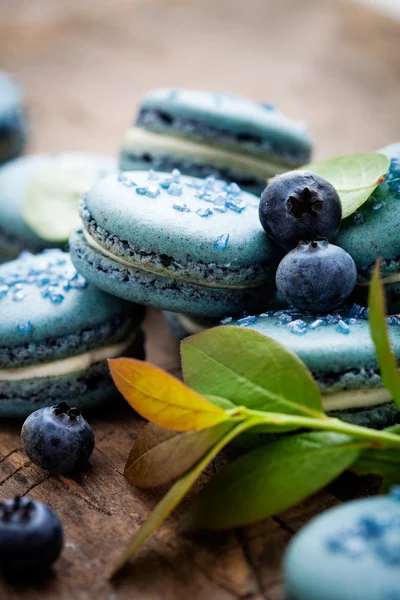 Blueberry macaroons — Stock Fotó