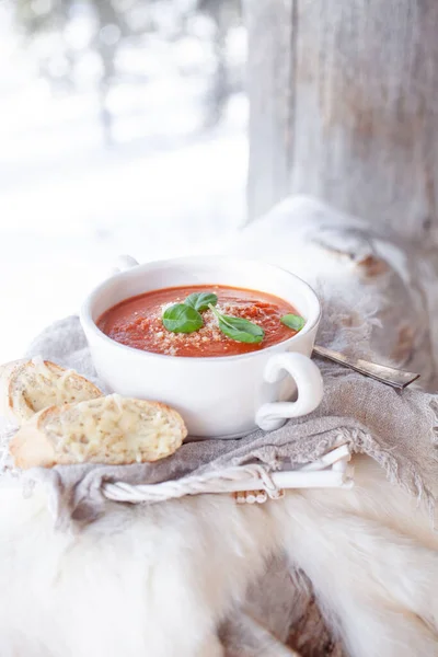 パルメザンとバジルのクリーミーなトマトスープ — ストック写真