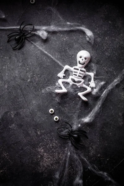 クモと骨格を持つ面白いハロウィーンの背景 — ストック写真