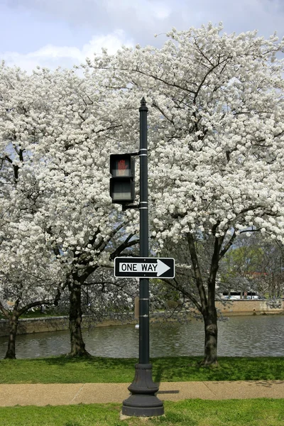 걷지 마 — 스톡 사진