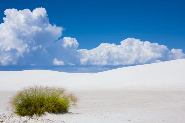 Almost nothing but white sand — Stock Fotó