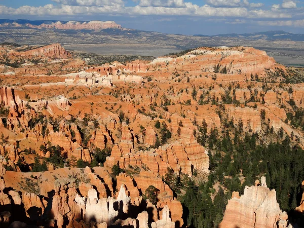 Vues sur le canyon Bryce — Photo