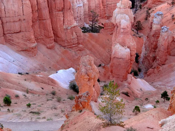 Vues sur le canyon Bryce — Photo