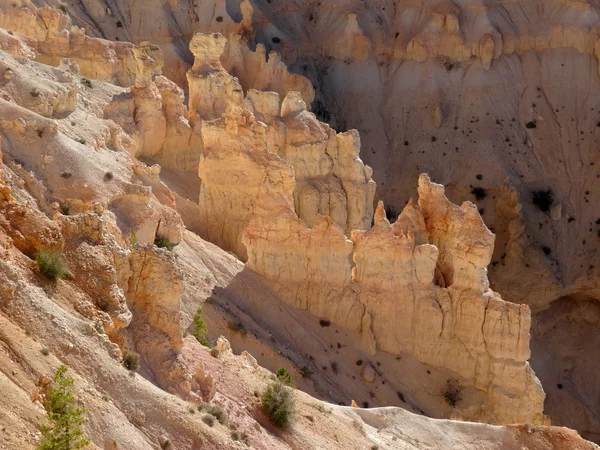 Vues sur le canyon Bryce — Photo