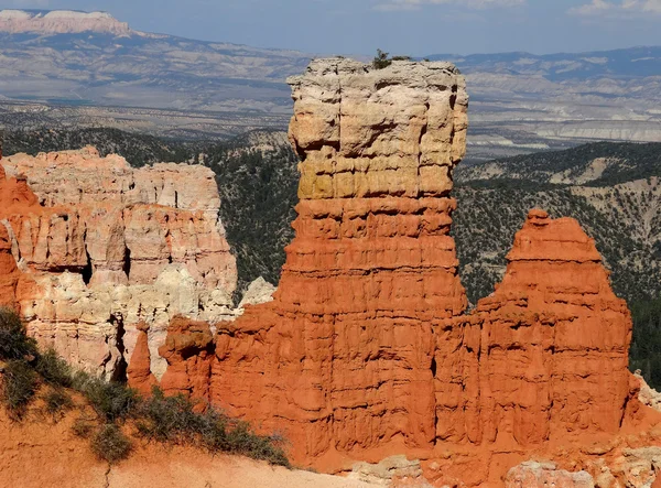 Vues sur le canyon Bryce — Photo