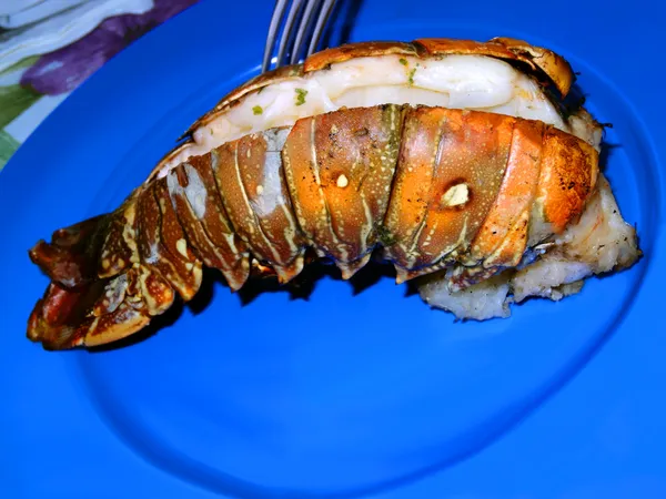 龙虾大餐 — 图库照片