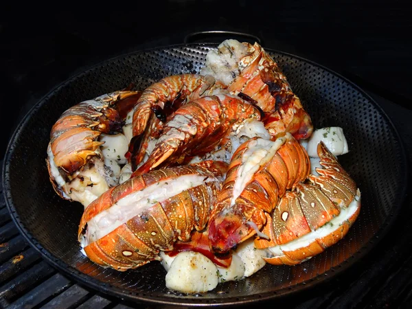 Dîner de homard — Photo