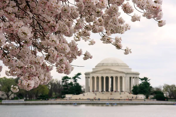 Jefferson Memorial — Zdjęcie stockowe