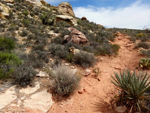 Wandeling door red rock canyon — Stockfoto