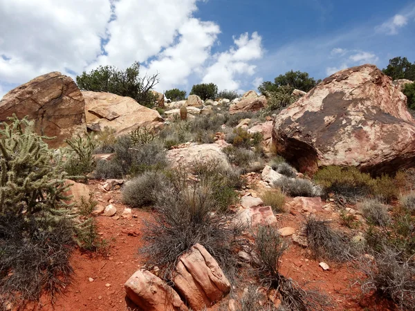 Caminata a través de Red Rock Canyon — Foto de Stock