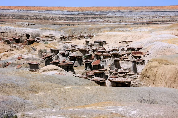 Trésors du Nouveau-Mexique — Photo