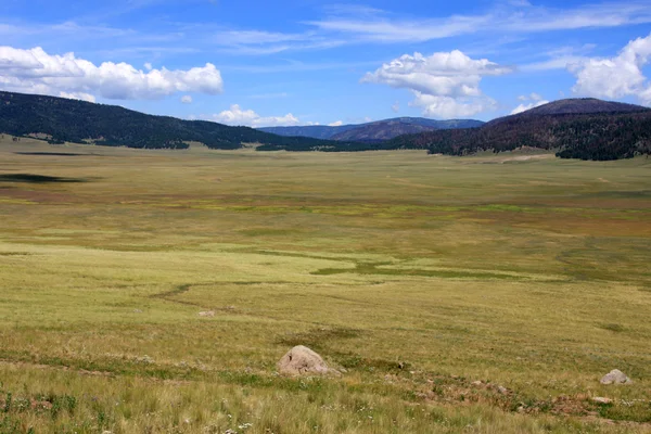 Treasures of New Mexico — Stock Photo, Image