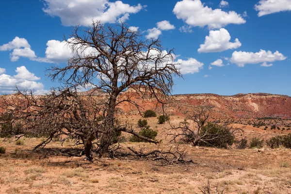 Renkli new mexico — Stok fotoğraf