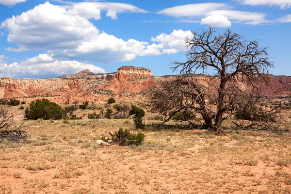 Impressive and scenic landscape in New Mexico — Stock Photo, Image