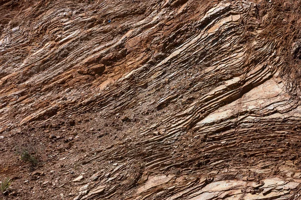 Textura natural — Foto de Stock