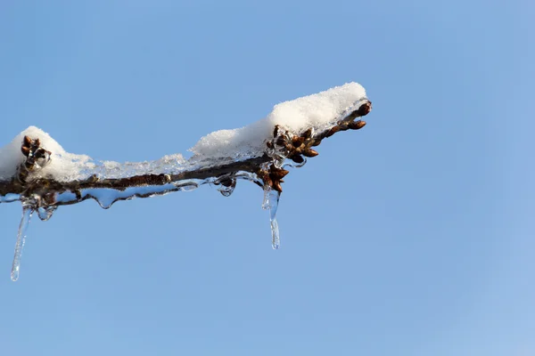 Ice and snow in the morning — Stock Photo, Image