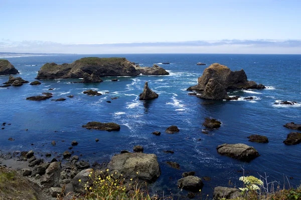 Op de kust van Oregon — Stockfoto