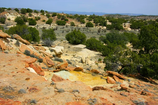 Aan de Ojito Wilderness Area, New Mexico — Stockfoto