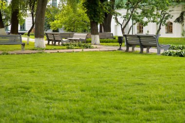 güzel bir yeşil park banklar