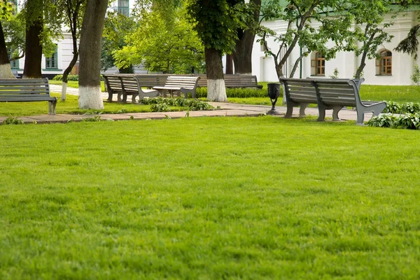 Bänkar i en vacker grön park — Stockfoto