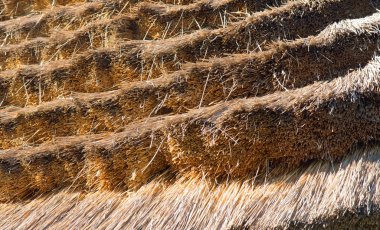 thatched çatı yakın çekim