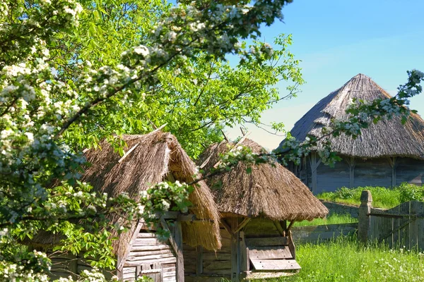 Old wooden beehives with straw roof — Stock Photo, Image