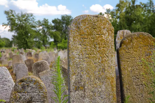 Oude Joodse cementery in Kahanowitsj, Oekraïne — Stockfoto