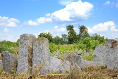 eski Yahudi cementery, berdychiv, Ukrayna