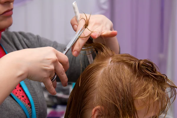 Hairdresser cutting woman hair in salon — Stock Photo, Image