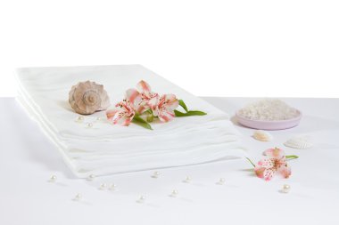 Spa aksesuarlar: Sac ve deniz tuz