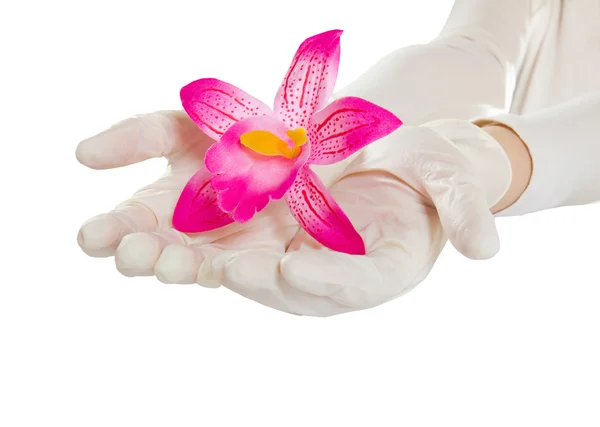 Rubber medical gloves isolated — Stock Photo, Image