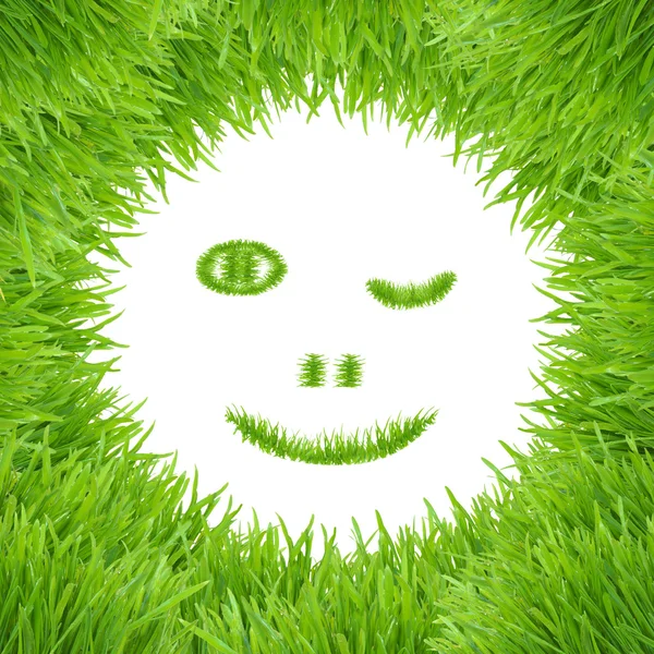 Green smiley eco grass face — Stock Photo, Image