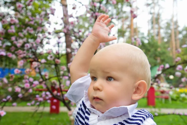 Little boy raising his hand up — Stock Photo, Image