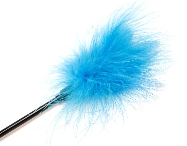 蓝色羽毛的杆-性玩具 — 图库照片