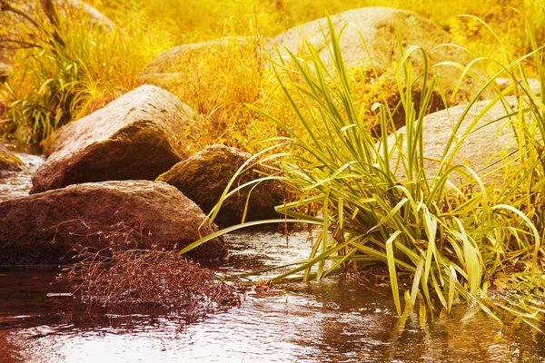 Beautiful autumn creek — Stock Photo, Image