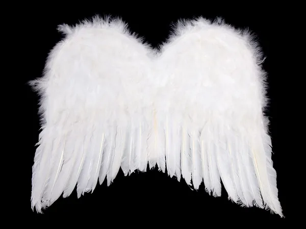 Whiite andělská křídla na černém pozadí — Stock fotografie