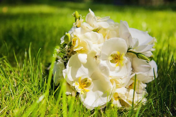 Wedding bouquet with white orchids — Stock Photo, Image