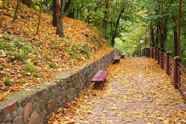 Lavičky v podzimním parku — Stock fotografie