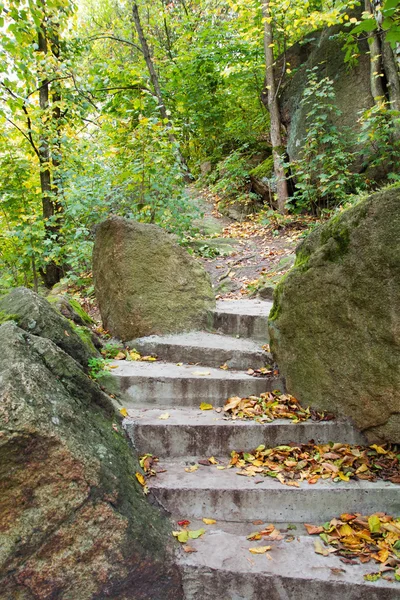 Staircase in a forest in autumn — Stock Photo, Image