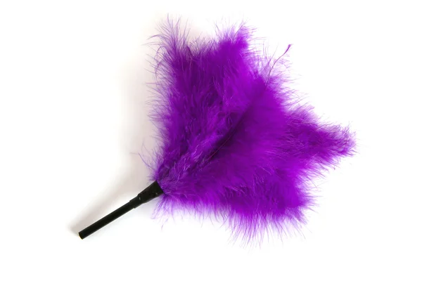 Violet plume fétiche équipement — Photo