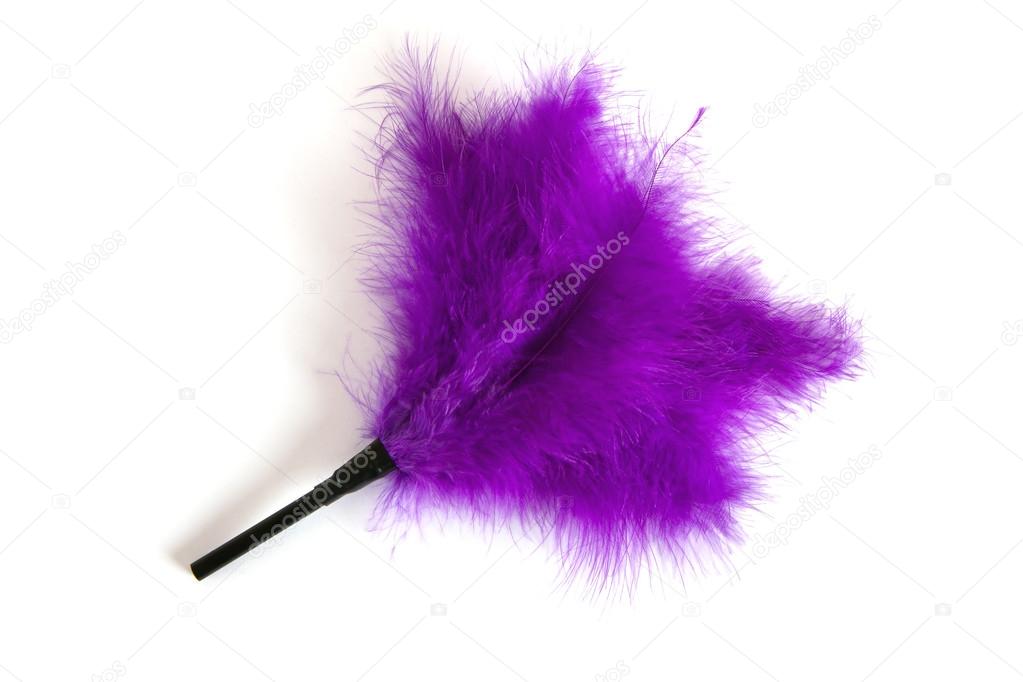 Purple Feathered fetish equipment
