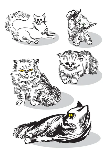Katzen und Kätzchen schwarz-weiß — Stockvektor