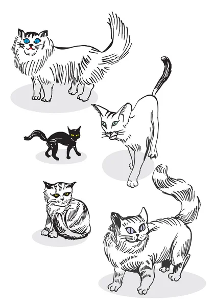 Schwarz-weiße Zeichnung einer Katze — Stockvektor