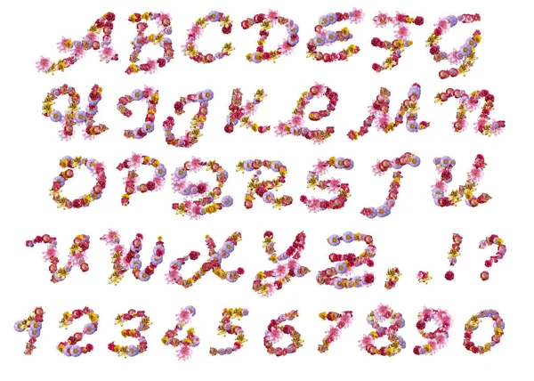 白い背景に隔離された異なる花や蝶で構成された筆記体の文字を持つラテン文字 — ストック写真